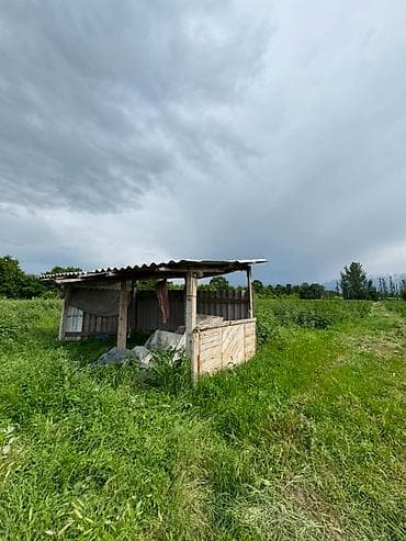 срочный: 155 соток, Для сельского хозяйства, Договор купли-продажи — 6