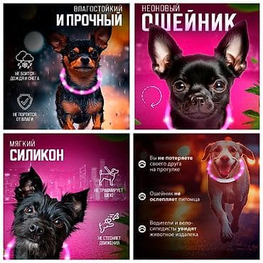 ПРОДАЮ НОВЫЕ СВЕТЯЩИЕСЯ ОШЕЙНИКИ,ПОДОЙДУТ КАК ДЛЯ МЕЛКИХ,ТАК И ДЛЯ — 2
