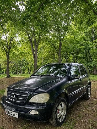 срв 2012: Mercedes-Benz ML-Class: 2004 г., 2.7 л, Автомат, Дизель, Внедорожник — 2