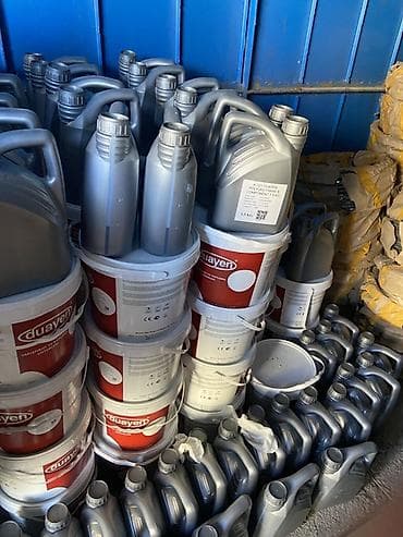 Дуайен (Duayen) — профессиональная двухкомпонентная система