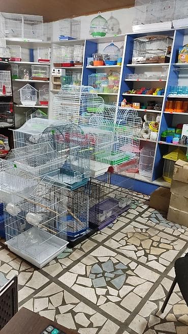 Үй жаныбарлары: Клетки, гнезда, поилки, витамины корма и.т.п — 1