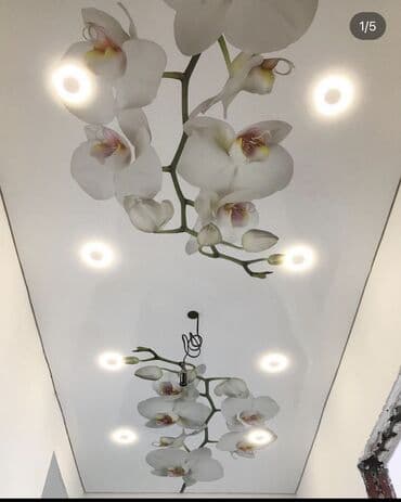 отделка обои: Керме шыптар Жылтырак, Жылтырабаган, 3D потолоктор Кепилдиги, Акысыз консультация, Акысыз ченөө — 7