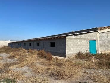 село раздольное кыргызстан: Сдаю в аренду базу в селе Раздольное для МРС и КРС(бычки 100 голов) — 8