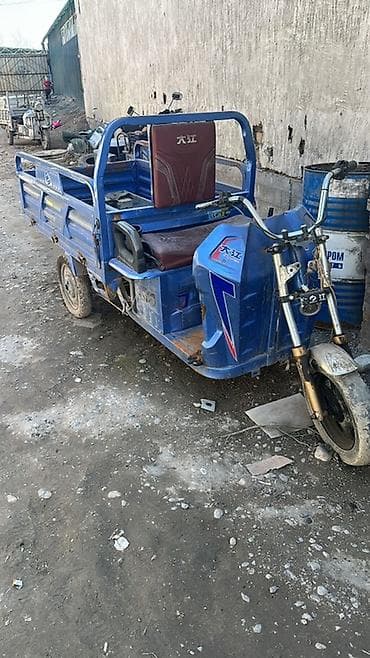 мото люлька: Ремонт Весе Электрический грузовой трицикл (трёхколёсный мотоцикл) — 1