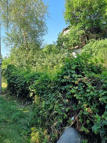 Недвижимость: 4 соток, Для строительства, Красная книга, Договор долевого участия — 2