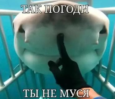 sk development: Здравствуйте уважаемый читатель, сразу извиняюсь за фото просто надо — 1