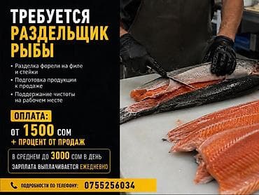 Только с опытом работы