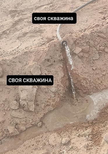 Земельные участки: 10 соток, Для бизнеса, Красная книга — 4