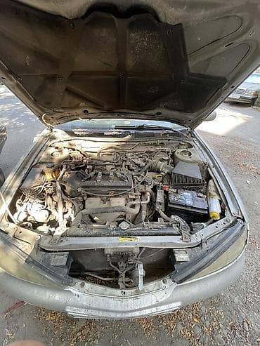 infinity fx35: Nissan Primera: 1999 г., Механика, Бензин, Седан — 4