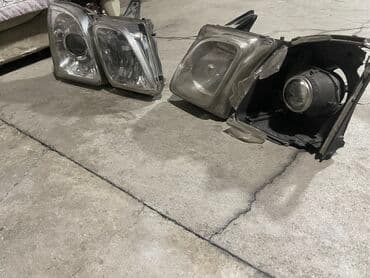 экзотические животные бишкек купить: Комплект передних фар Lexus 2024 г., Оригинал, ОАЭ — 7