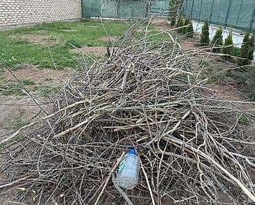 Все для дома и сада: Дрова Самовывоз — 3