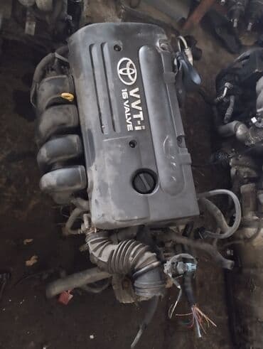 комбинированная варочная панель: Авто запчасти на Тойота.Дизель.Бензин Запчасти привозные.Кантракные — 1