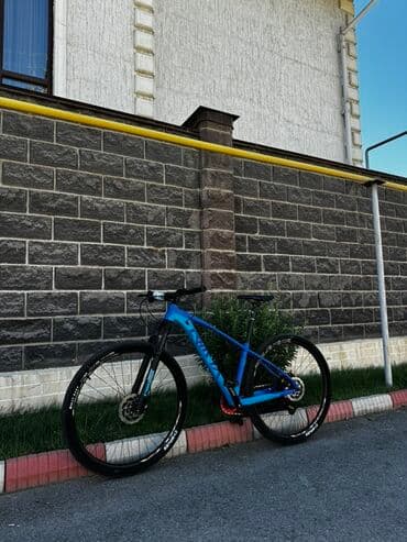 горный велосипед с широкими колесами: Горный велосипед, Tsunami, Алюминий, Новый — 2