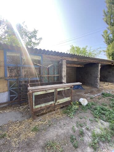 дом сатылат бишкек: Үй, 130 кв. м, 7 бөлмө, Менчик ээси, Косметикалык оңдоо — 20