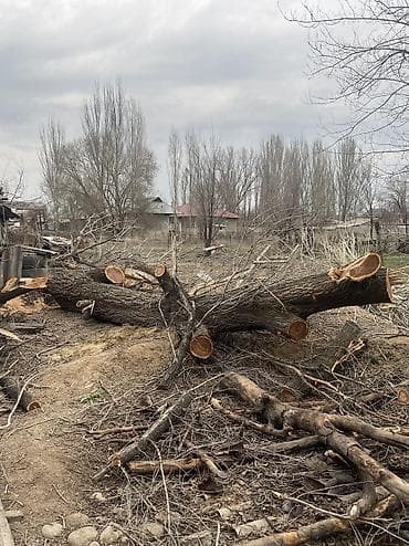 питевая вода: Дрова — 5