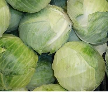 Капуста Белокачанная