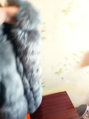 Женские брюки: Меховой жилет размер 44-52 стандарт. цвет Сине зелёного цвета. одевала — 2