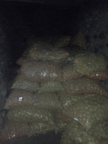 три лимона: Картошка — 3