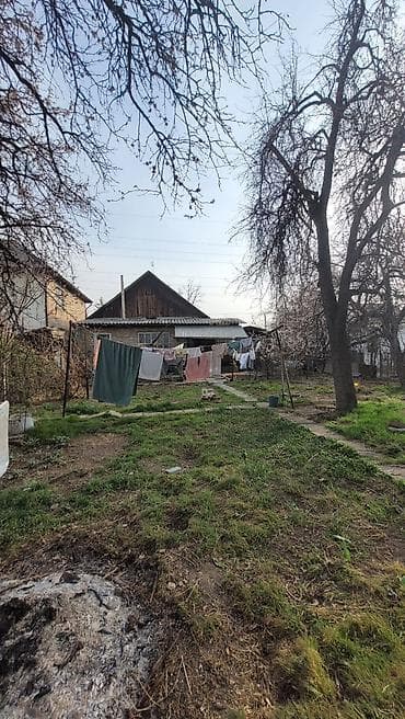 шаар: 8 соток — 4