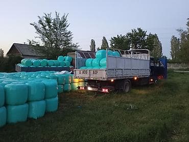 цветной принтер 3 в 1: ЗИЛ бычок сатылат вариант карайбыз абалы жакшы 6 донголок масла матор — 3