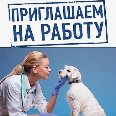 узи на дому: Вакансия: ветеринарный врач / фельдшер ветеринарной медицины — 1