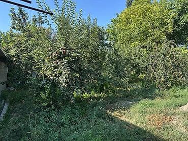 с новопокровка: 🏡 ПРОДАЁТСЯ ПРОСТОРНЫЙ 7-КОМНАТНЫЙ ДОМ В НОВОПОКРОВКЕ! ✨ Отличный — 8
