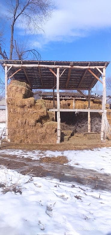 дом беловотиский: Продается Дом 4-х комнатный В селе Степное Жайылский Р зал большой в — 4