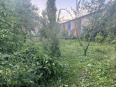 кок талаа: 10 соток, Айыл чарба үчүн — 2