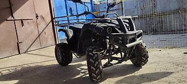 рс 6: Квадроцикл утилитарного типа, полноразмерная рама. Черный матовый — 1