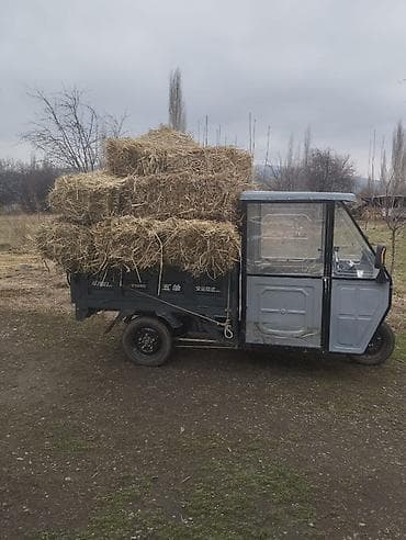 bmw 2004: Грузовой трёхколёсный мототранспорт с кабиной и самосвальным кузовом — 2