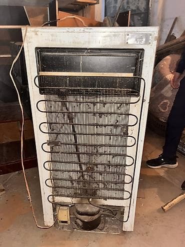 витринный холодилник: Холодильник однокамерный с морозильным отделением вверху — 1