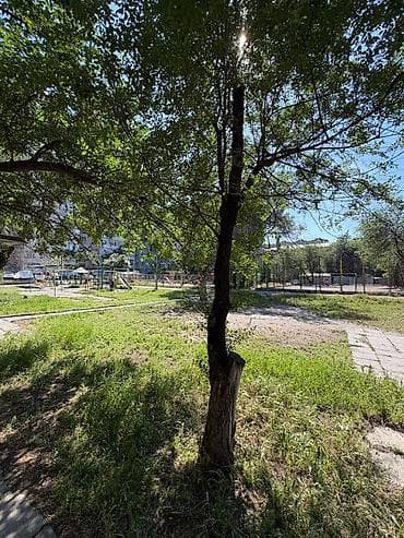 юго восток ош квартира: 3 комнаты, 65 м², 105 серия, 5 этаж, Евроремонт — 10