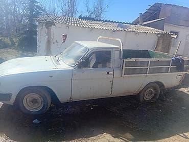 форт минивен: ГАЗ 31029 Volga: 1994 г., 2.4 л, Ручные, Бензин, Пикап — 3