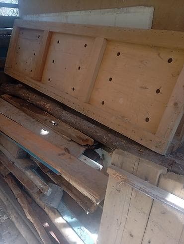 купить лес: Хвоя — 2