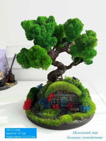 искусственные растения бишкек: Бонсай ручной работы из натурального стабилизированного мха от 1500 — 36