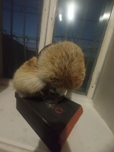 Баш кийимдер: Шапке, Кулак жапкан тумак, Табигый булгаары, Кыш, Помпон менен — 6