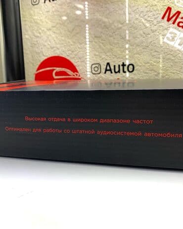 машны: Широкополосная АС Урал Молния АС-МЛ100 представляет собой эстрадный — 7