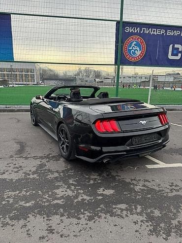 Ford Mustang: 2019 г., 2.3 л, Автомат, Бензин, Кабриолет