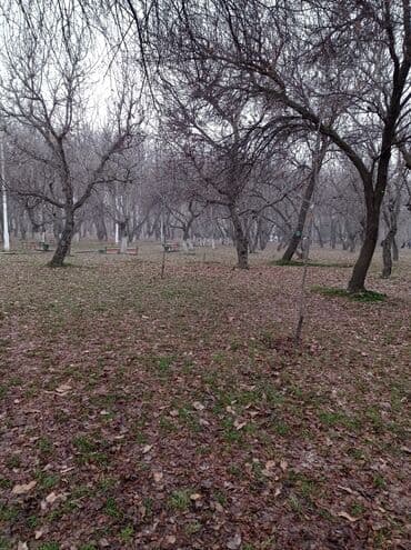 шабашные расценки на строительные работы рядом просп жибек жолу бишкек: Пилю деревья, дрова. — 3