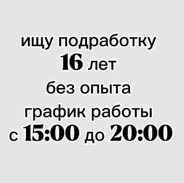 Помощник. Без опыта