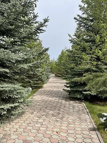 делаю справки: Коттедж, Кейсар, Чолпон-Ата — 5