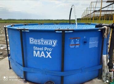 стол шкаф: Теплица, предназначенная для выращивания различных — 15