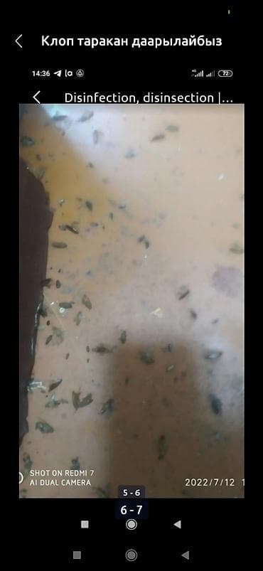 Дезинфекция дезинфекция дезинфекция дезинфекция дезинфекция Таракан
