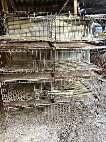 куплю клетку: 8 ярусные металлические клетки для выращивания цыплятбройлеров и — 3