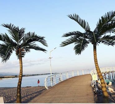 аренда яхты на иссык куле: Коттедж, Пальм бич ЦО Palm Beach, Чок-Тал, Детская площадка, Парковка, стоянка, Охраняемая территория — 9