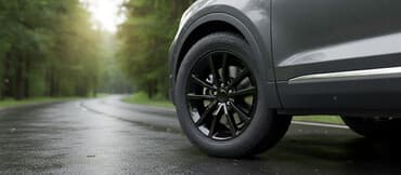 летние шины: Шины 235 / 55 / R 19, Зима, Легковые, Goform — 1