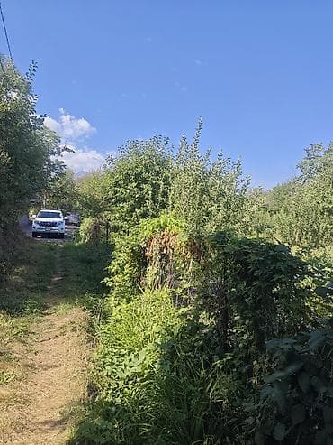 үй жер: 5 соток — 3