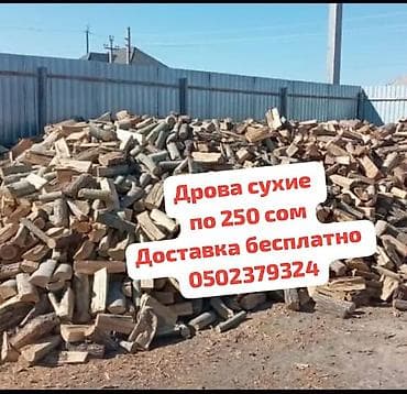 aroy d: Дрова — 1