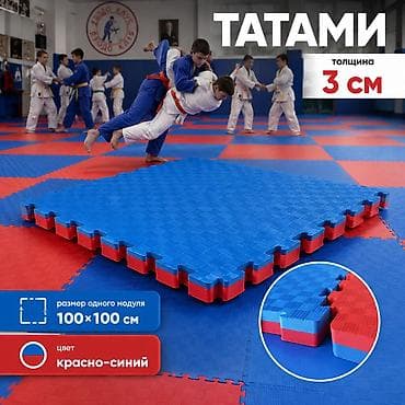 кий цена: Пазл-мат татами «Даянг» | EVA-маты 100×100 см | Для спорта и детских — 4