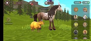 для черепах: Игровой аккаунт Wildcraft(мобильная игра-симулятор животных) Основные — 2